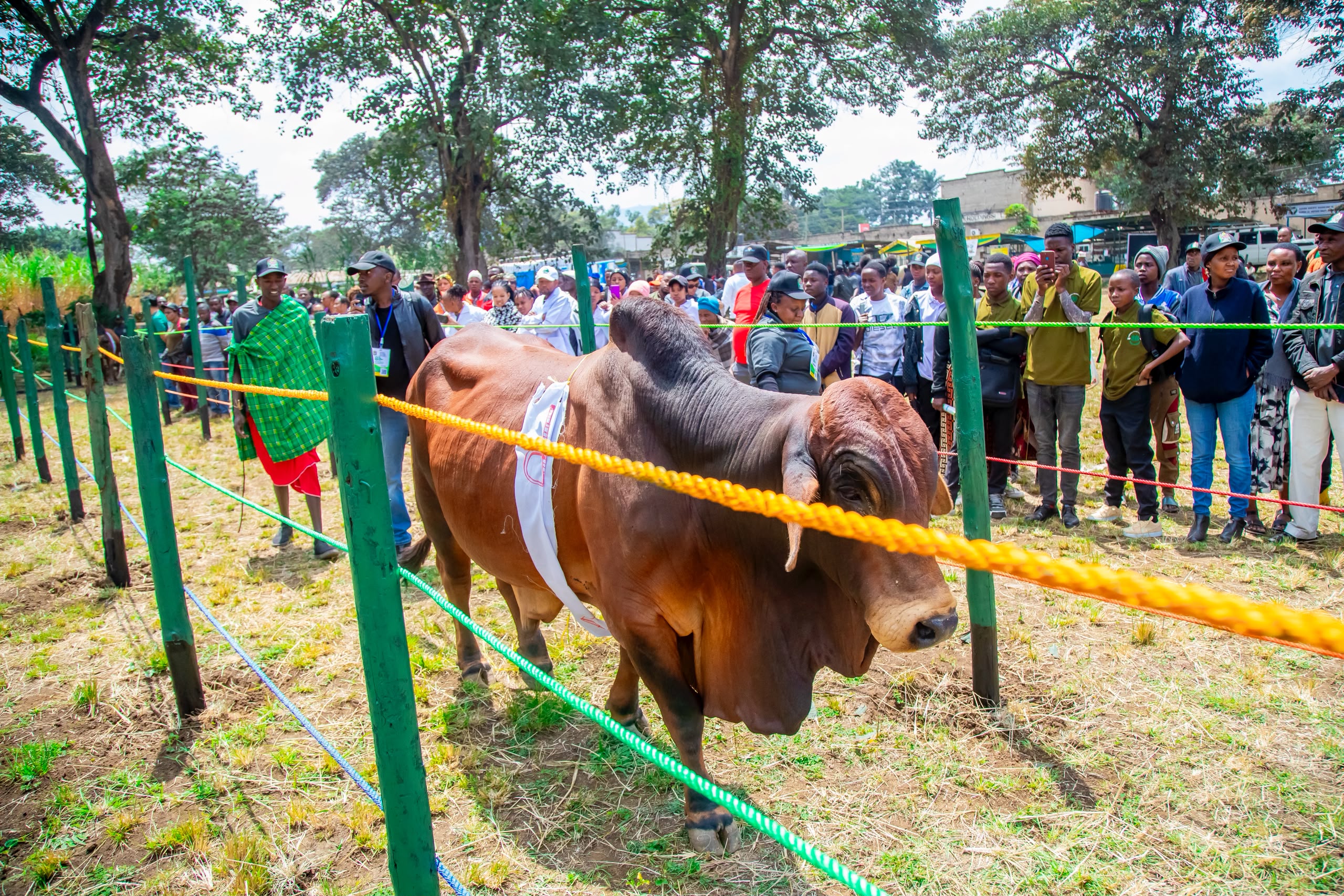 MOSHI MGENI RASMI PAREDI YA MIFUGO NANENANE KANDA YA KASIKAZINI